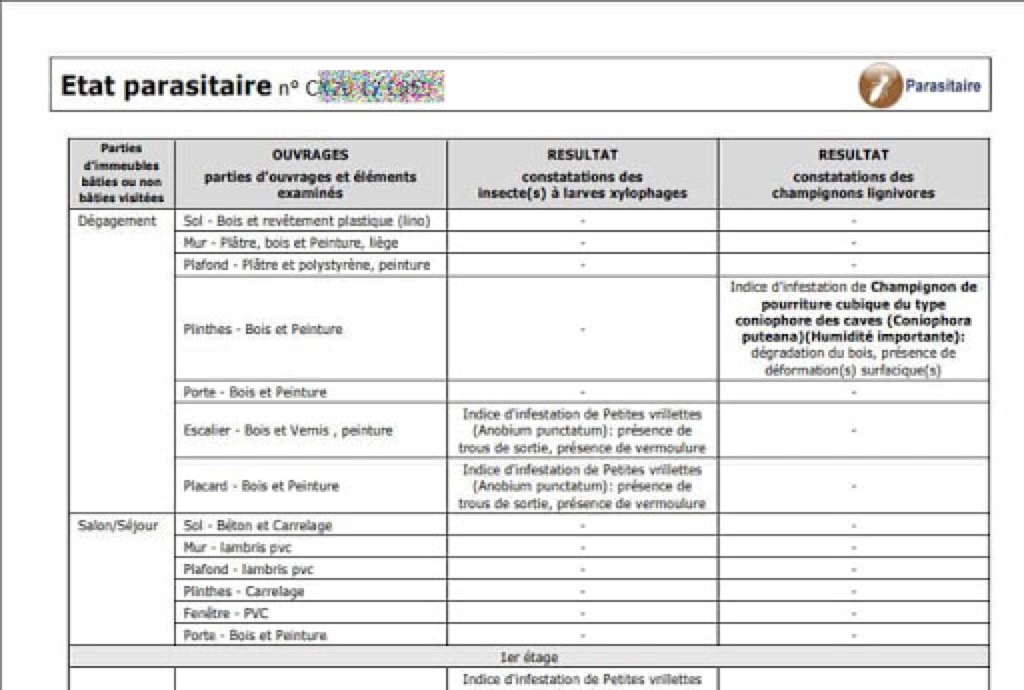 etat-parasitaire-traitement-detection-reperer-merule-champignon-devis-combrit-saint-marine-evarzec-ile-tudy-ivy