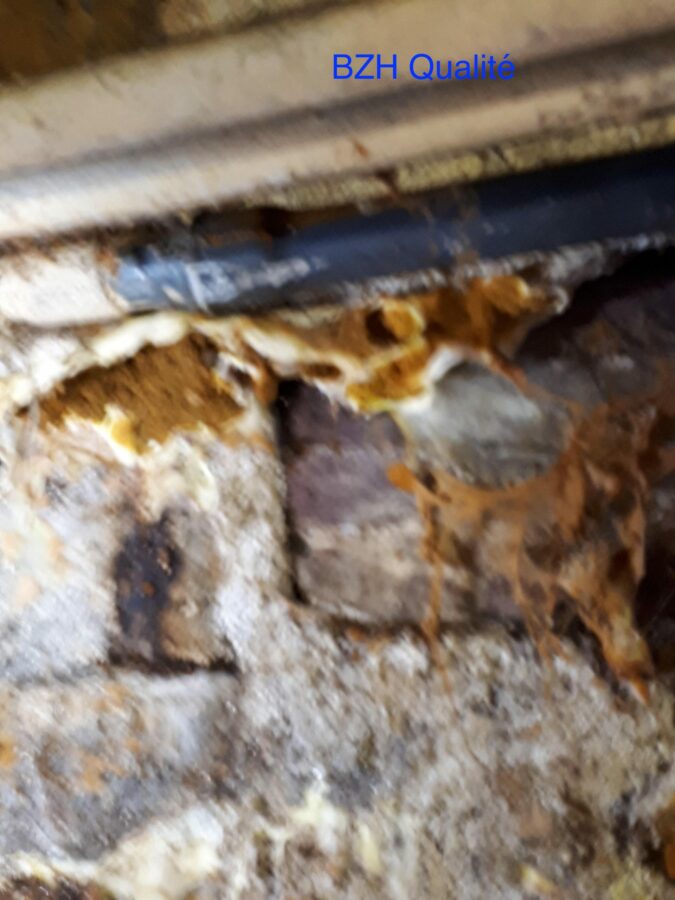 traitement -merule-bois-humidite-diagnostic-quimper-concarneau-douarnenez-fouesnant