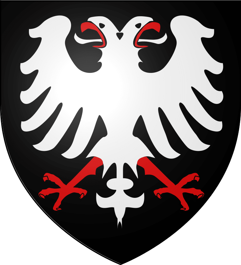 les-glenan-traitement-bois-merule-isolation-comble-ite-perdu-humidite-audierne-plouhinec-scaer-locronan-rospirden-blason