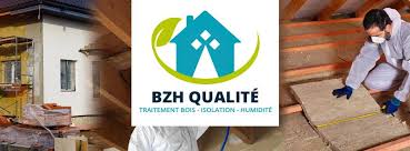 bzh-qualite-isolation-merule-radon-humidite-salpetre
