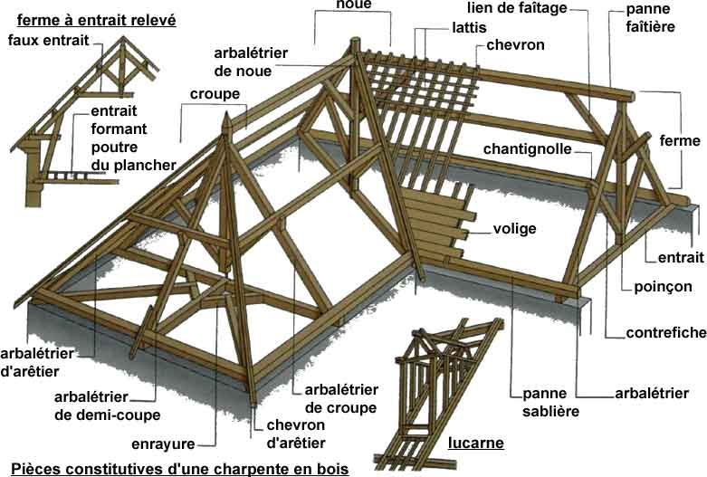 charpente-traitement -capricorne-pont-l-abbe-plovan