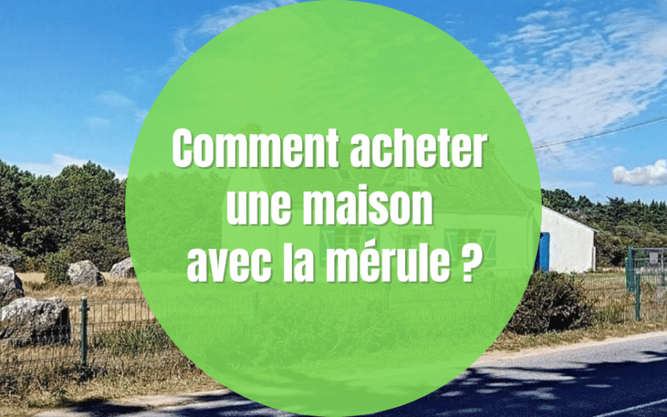 Comment acheter une maison qui a de la mérule ?