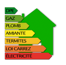 diagnostic-immobilier-merule-traitement-bois-quimper-douarnenez-concarneau-fouesnant-quimperle