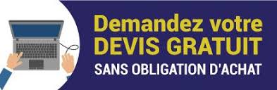 devis-diagnostic-gratuit-entreprise-sud-finistere-traitement-merule-humidite-bois-isolation-radon-