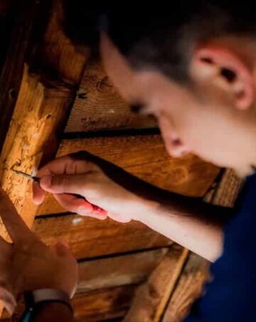 Quels sont les signes d’une infestation d’insectes xylophages ?