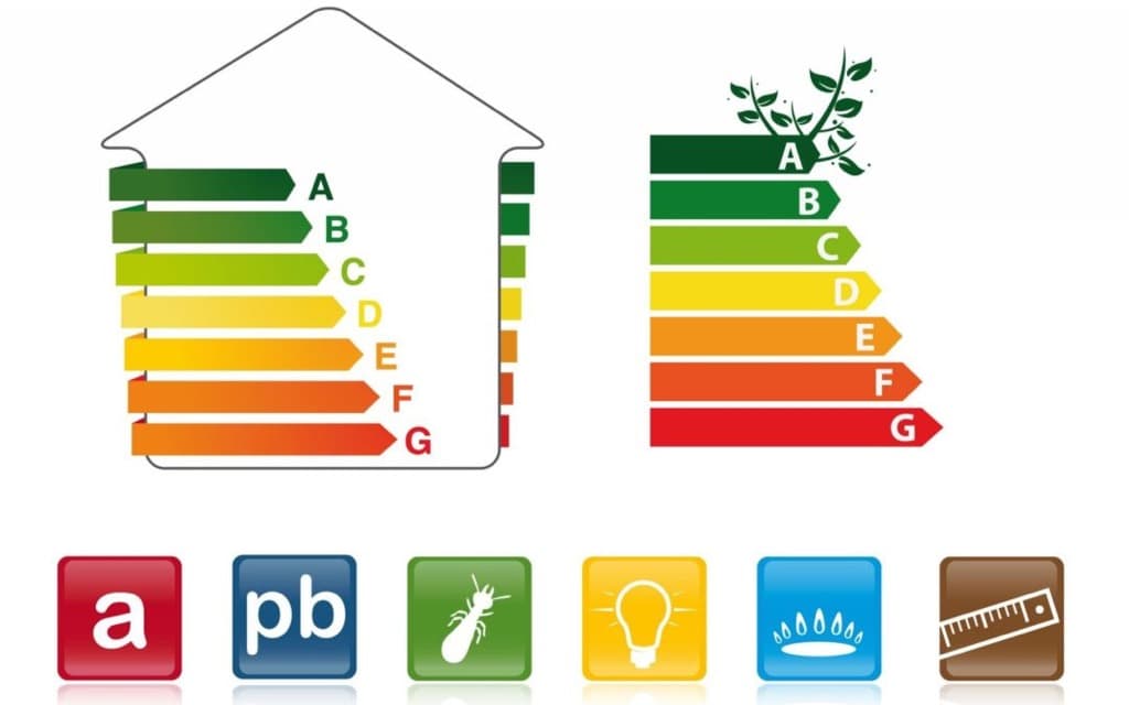 diagnostic-immobilier- Saint-Brieuc-lannion-dinan-plerin-lamballe-merule