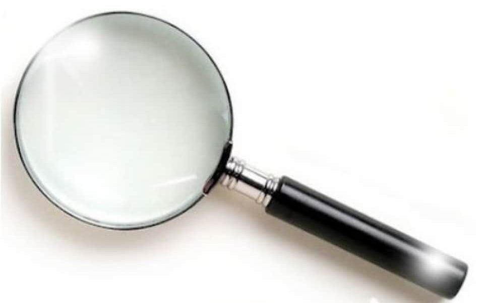 Diagnostic Mérule Pleureuse Obligatoire pour 6 Communes en Finistère