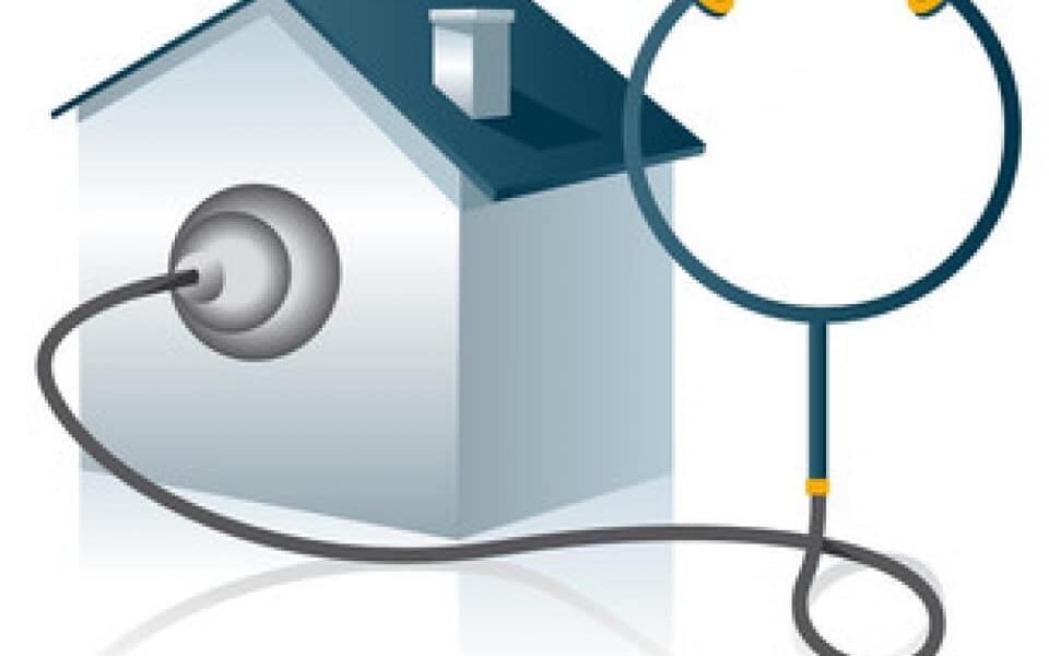 Diagnostiqueur immobilier ! Profession en Première ligne pour lutter contre la Mérule