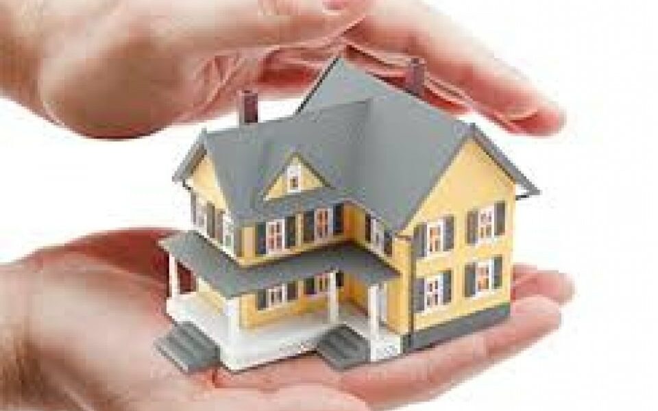 Assurance Mérule : Quelle prise en charge par l&rsquo;assurance habitation ?