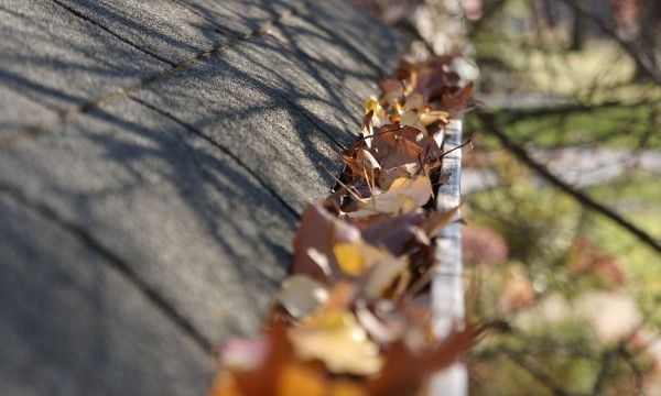 fissure-mur-humide-devis-salpetre-gouttiere-lannion-perros-guirec-tregastel-trebeurden