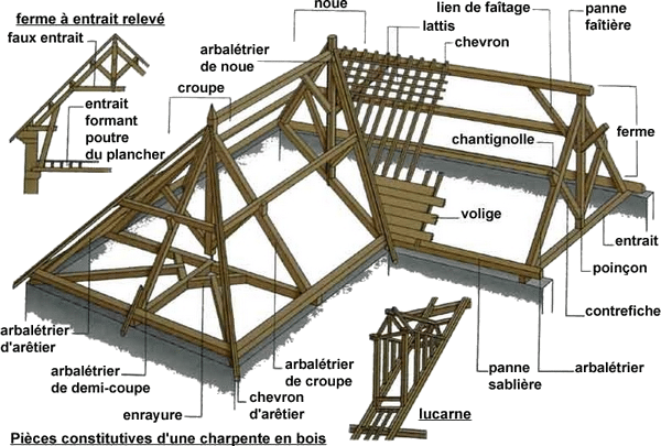 traitement-bois-insectes-xylophage-vriellette-capricorne-maison-pays-bigouden-pont-abbe-ploneour-lanvern