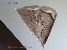 traitement-merule-bois-charpente-humidite-isolation-thermique-scaer-guiscriff-querrien-bannalec-rosporden