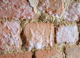 traitement -merule-bois-humidite-salpêtre-mur-humide-pays-bigouden-pont-abbe-ploneour-lanvern