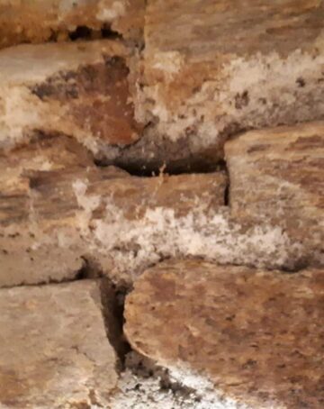 Salpêtre dans une cave ou un sous-sol : que faire ?