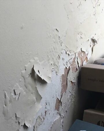 Remontées capillaires sur un mur extérieur : signes et solutions