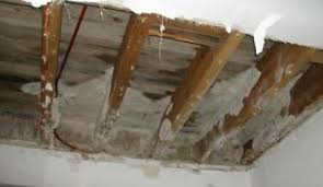 traitement -merule-bois-humidite-diagnostic-tregunc-nevez-benodet-moelan-sur-mer-riec-sur-belon