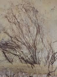 traitement -merule-bois-humidite-salpêtre-mur-humide-chateaiulin-pleyben-chateau-neuf-faou-
