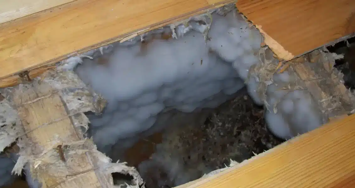 Comment réparer les dommages causés par la mérule ?