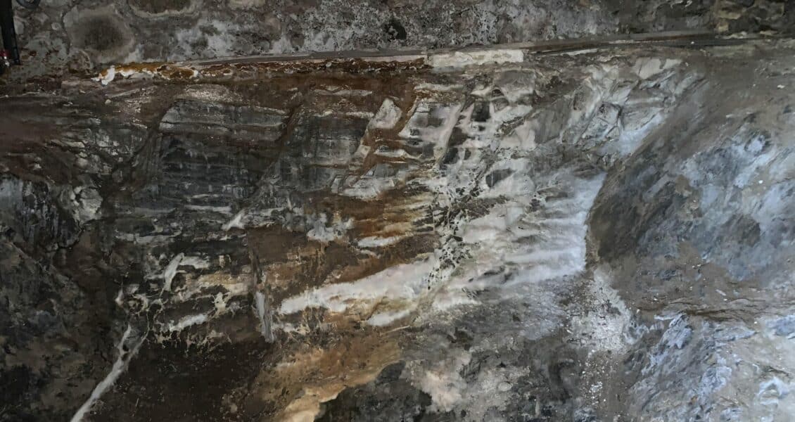 La mérule dans le bois de mes combles : que faire ?