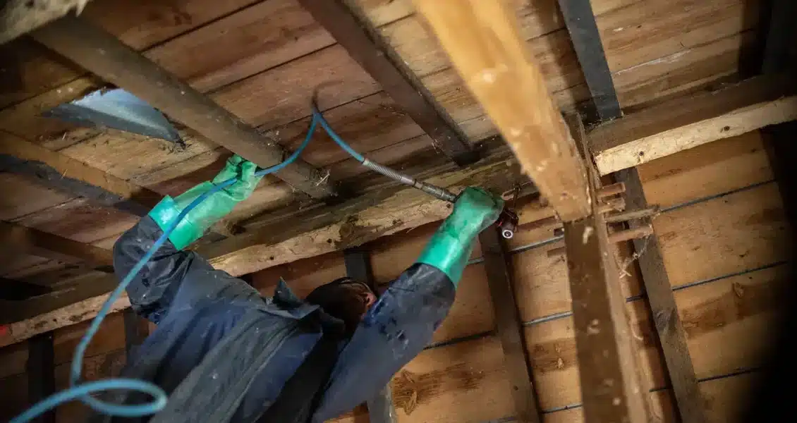 Peut-on réaliser un traitement de charpente soi-même ? Guide et astuces pour les bricoleurs