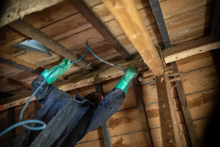 réaliser un traitement de charpente