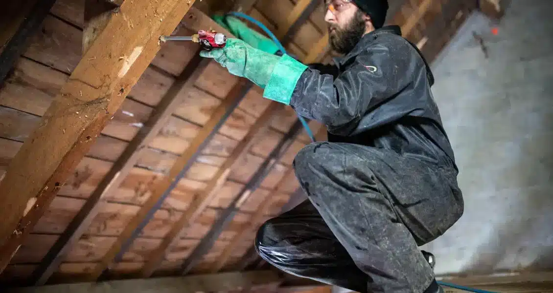 Traitement de charpente écologique : quelles solutions adopter ?