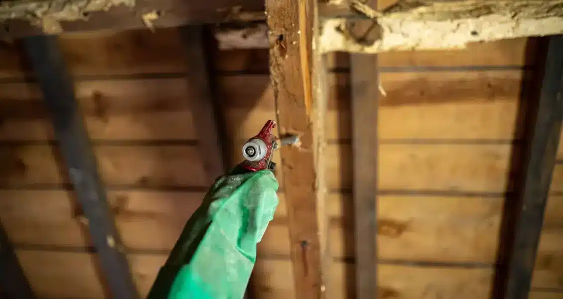 Traitement de Charpente : Injection ou Pulvérisation? Le Guide Complet