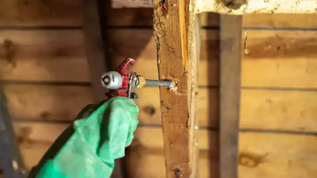 Comment prévenir et traiter la pourriture de charpente en bois : un guide complet