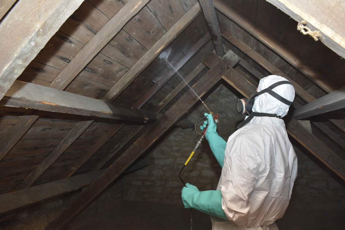 Comment traiter efficacement une charpente en bois ? Qualite BZH — free download