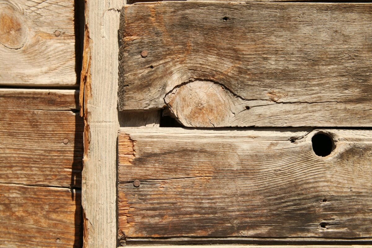 wood texture close up