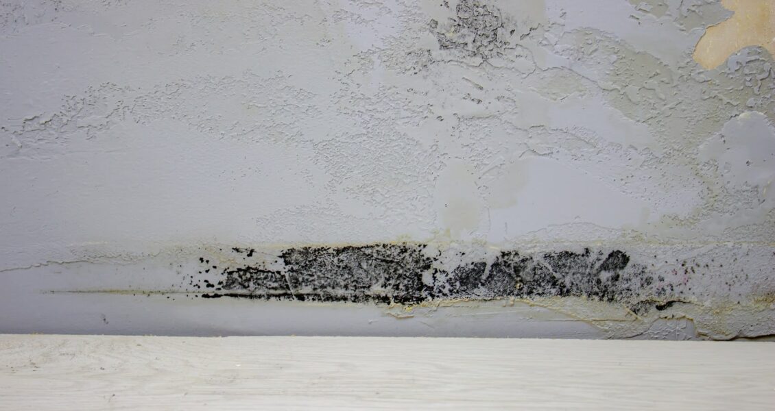 Comment assécher un mur humide ? Les étapes