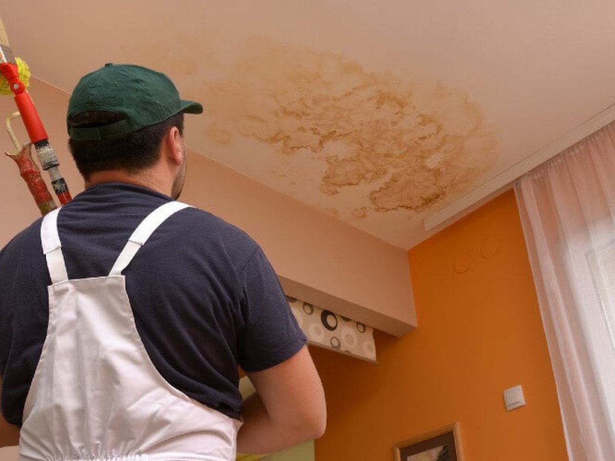 Comment traiter la moisissure et l'humidité au plafond ? - Qualité