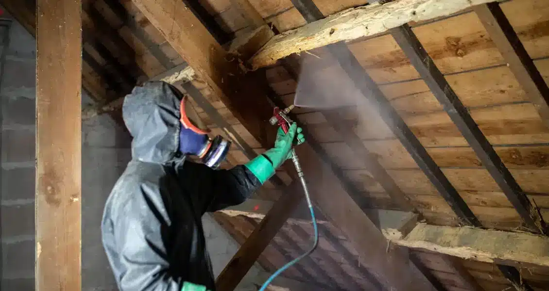 Quel produit écologique utiliser pour un traitement de charpente efficace ?