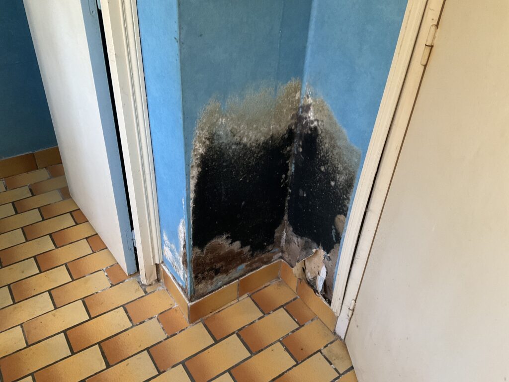 Traitement d’un mur humide à Pont-Aven.