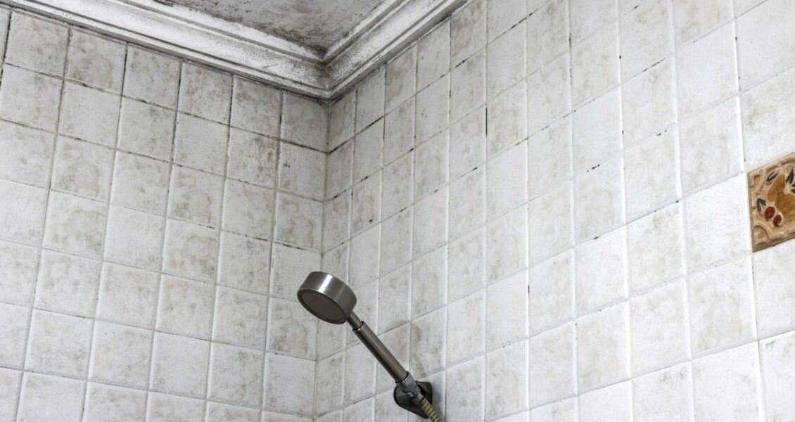 Moisissures dans la salle de bain : quand faut-il s&rsquo;inquiéter ?