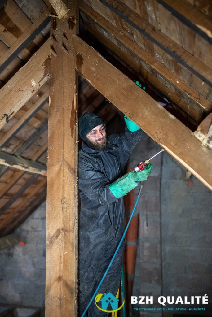 Présence d'insectes xylophages