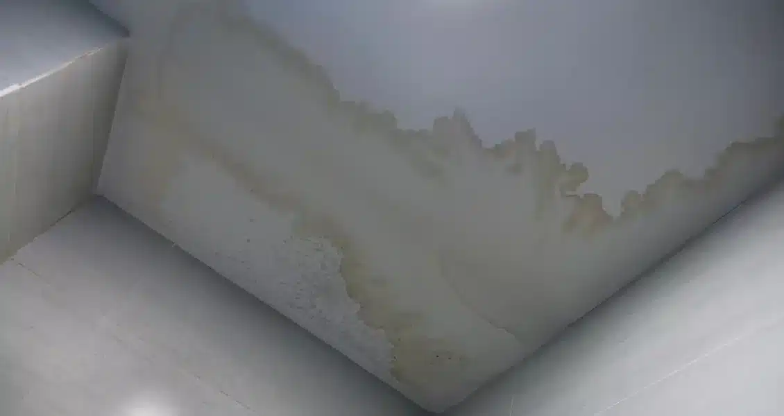 Comment se débarrasser de la moisissure dans la salle de bains ?