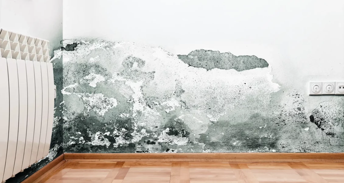 Comment réguler le taux d&rsquo;humidité dans un logement ?