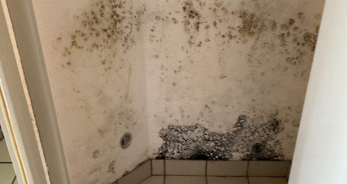 Humidité maison neuve en Bretagne : normal ou défaut ?