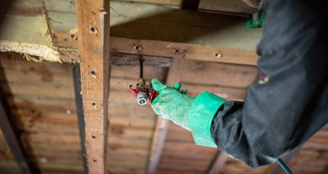 Combien de temps dure un traitement de charpente ?