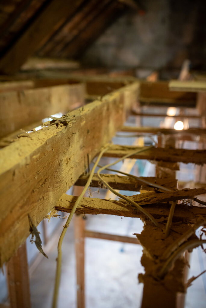 Projet de traitement de charpente à Plomelin : préservation durable des éléments en bois.