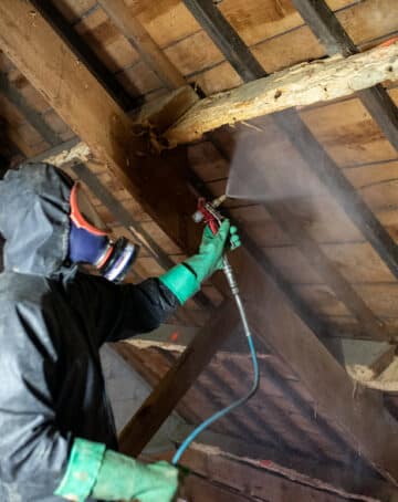 Quel produit utiliser pour traiter le bois contre les insectes xylophages ?