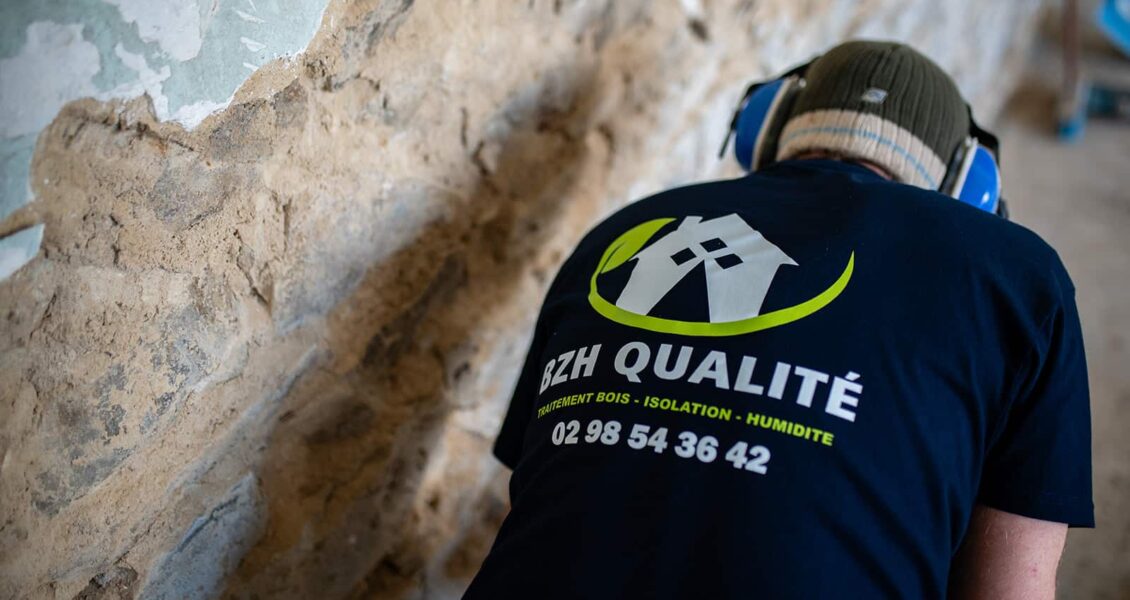 La mérule et l&rsquo;assurance habitation