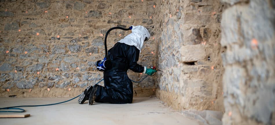 Détection, destruction, rénovation